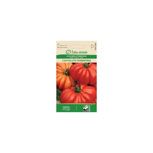 Tomat, Costoluto Fiorentino
