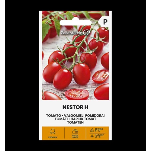Tomat, Nestor F1