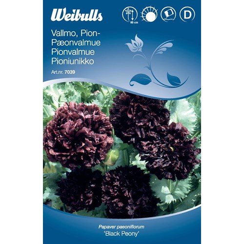 Vallmo, Pionvallmo, Black peony