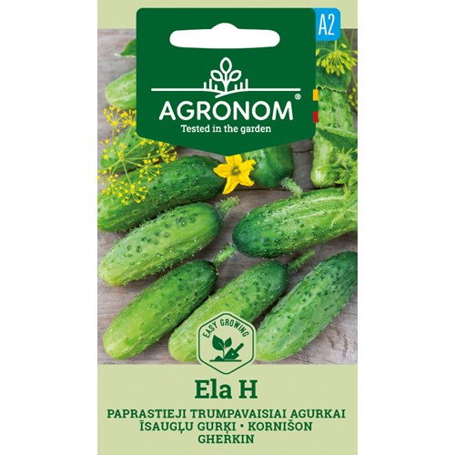 Gurka,  Ela F1