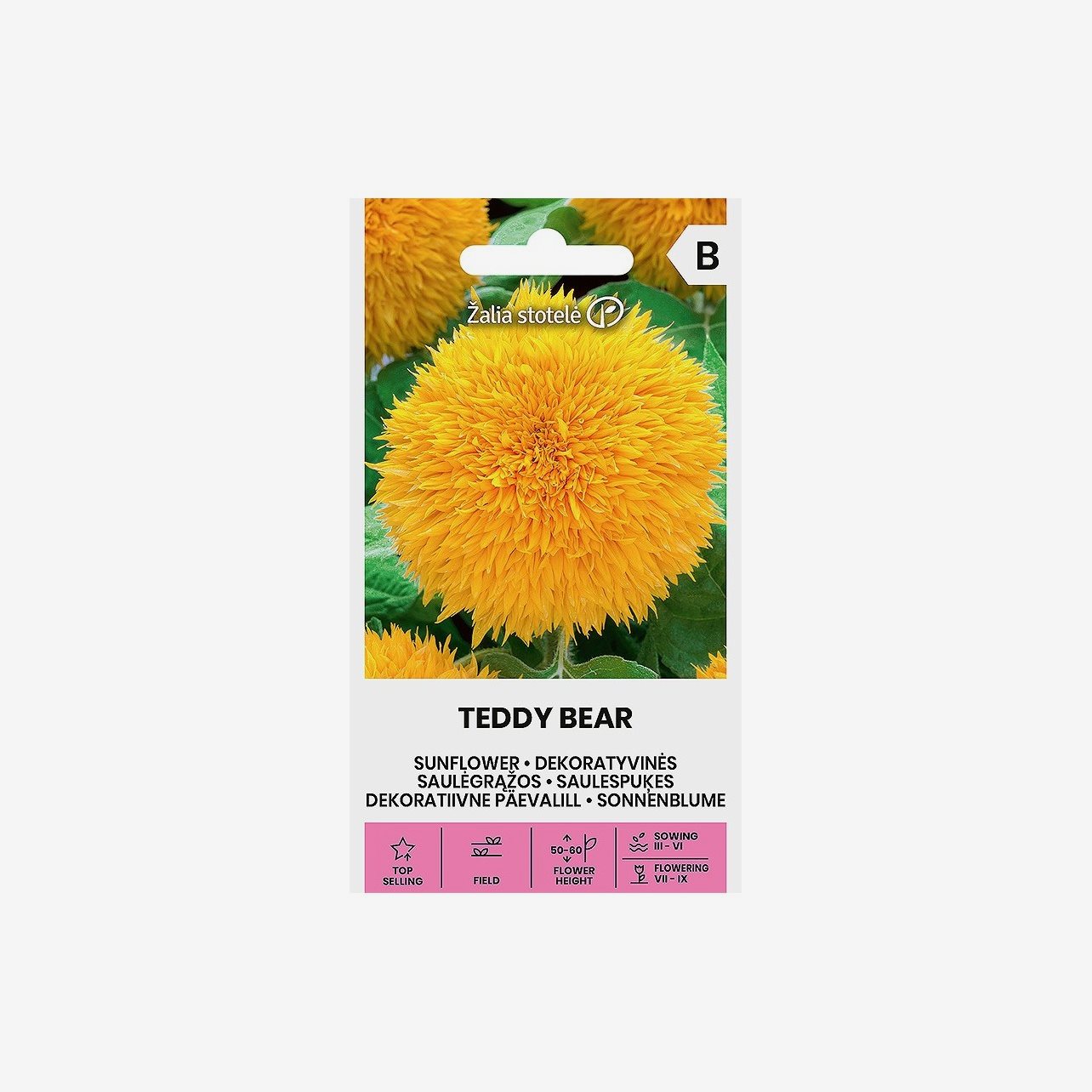 Fr er Solros Teddy Bear