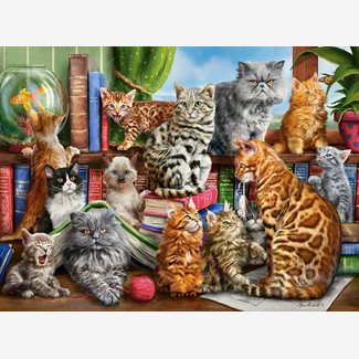 2000 bitar - House of cats