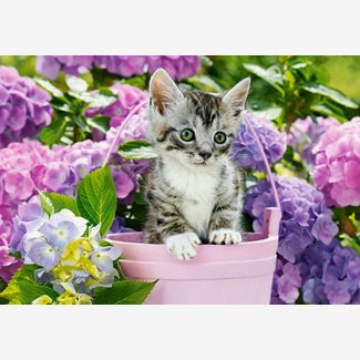 1500 bitar - Kitten in basket