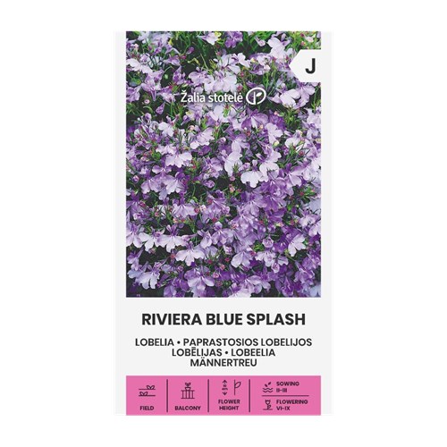 Lobelia, Kant, Riviera Blue Splash