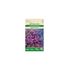 Lobelia, Kantlobelia, Regatta Lilac