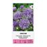 Aster, Unicum Blue