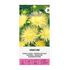 Aster, Unicum Yellow