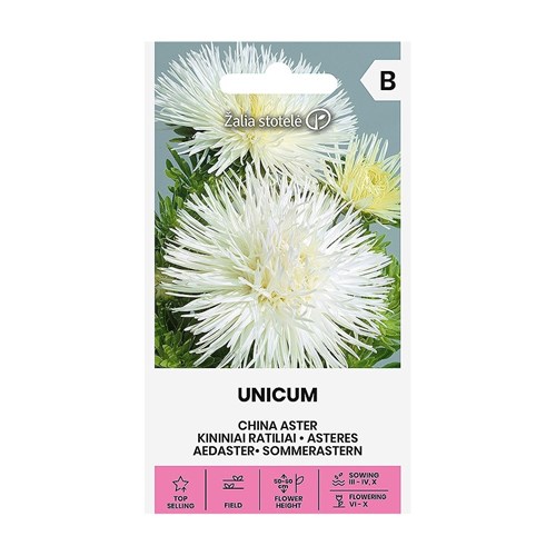 Aster, Unicum White