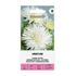Aster, Unicum White
