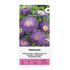 Aster, Sommar Princess Light blue