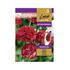 Trift, Bredbladig Ballerina Red