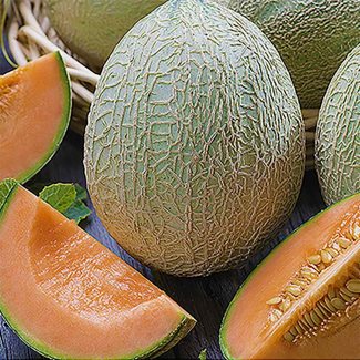 Melon, Emir F1