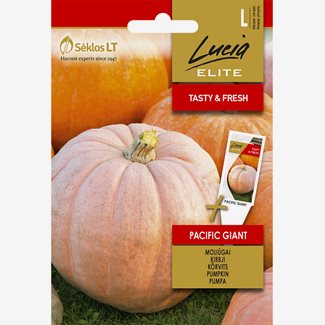Pumpa, Pacific Giant