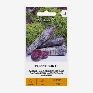 Morot, Purple Sun F1