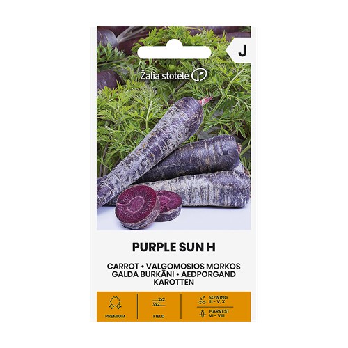 Morot, Purple Sun F1