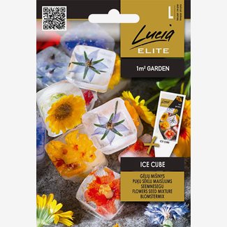 Blomsterblandning, Ice Cube mix