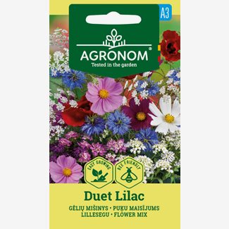 Blomsterblandning, Duet Lilac