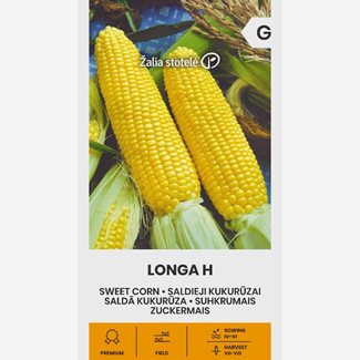 Majs, Longa F1