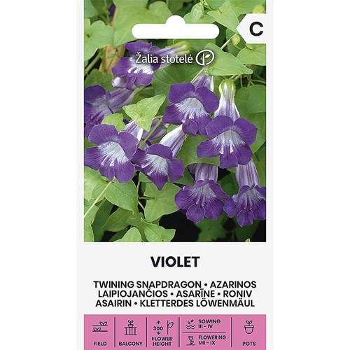Lejongapsranka, Violet