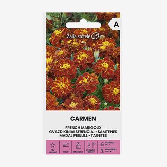 Tagetes, Carmen