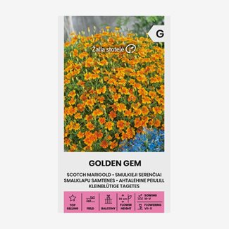 Tagetes, Golden Gem