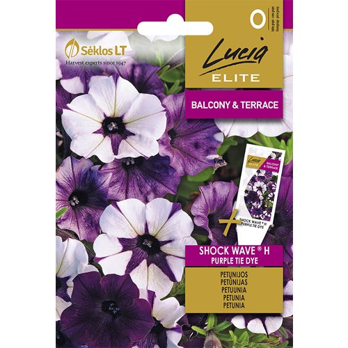 Petunia, Hängpetunia, Shock Wave Purple Tie Dye F1