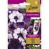 Petunia, Hängpetunia, Shock Wave Purple Tie Dye F1