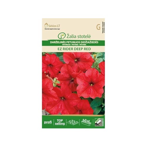 Petunia, EZ Rider Deep Red