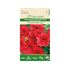 Petunia, EZ Rider Deep Red