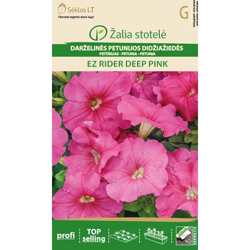 Petunia, EZ Rider Deep Pink