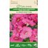 Petunia, EZ Rider Deep Pink