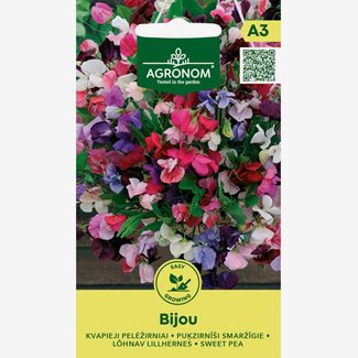 Luktärt, Bijou mixed