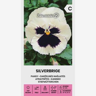 Pensé, Silverbrige