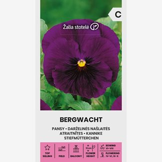 Pensé, Bergwacht