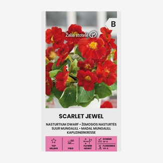 Krasse, Låg, Scarlet Jewel