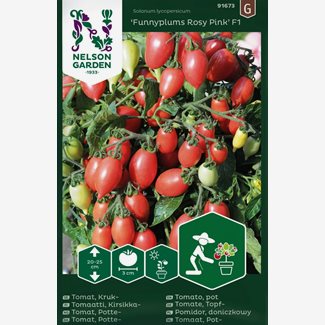 Tomat, Kruk-, Funnyplums Creamy Rosa F1