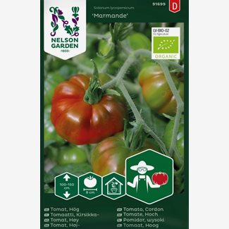Tomat, Hög, Marmande Organic