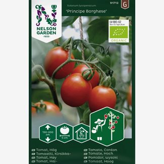 Tomat, Hög, Principe Borghese Organic