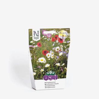 Blomsterblandning, Ängsblommor