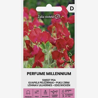 Luktärt, Perfume Millennium