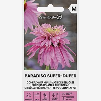 Solhatt, Paradiso Super-Duper