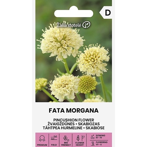 Praktvädd, Fata Morgana