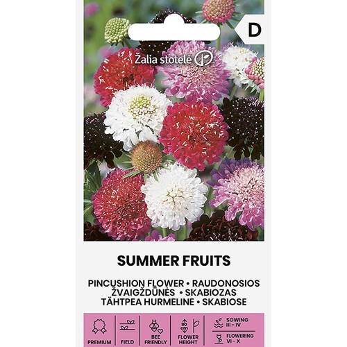 Praktvädd, Summer Fruits
