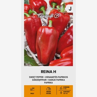 Paprika, Reina F1