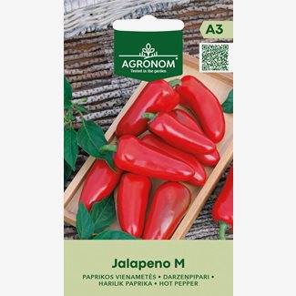 Chili, Jalapeno