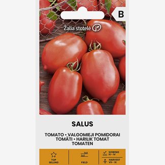 Tomat, Salus