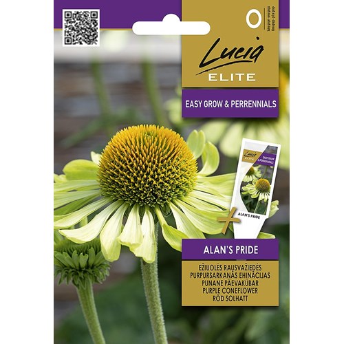 Rudbeckia, Alans Pride