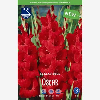 Gladiol, Oscar