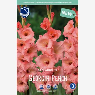 Gladiol, Georga Peach