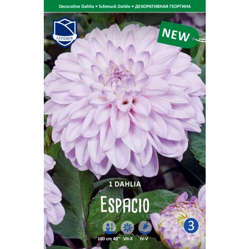 Dahlia, Espacio
